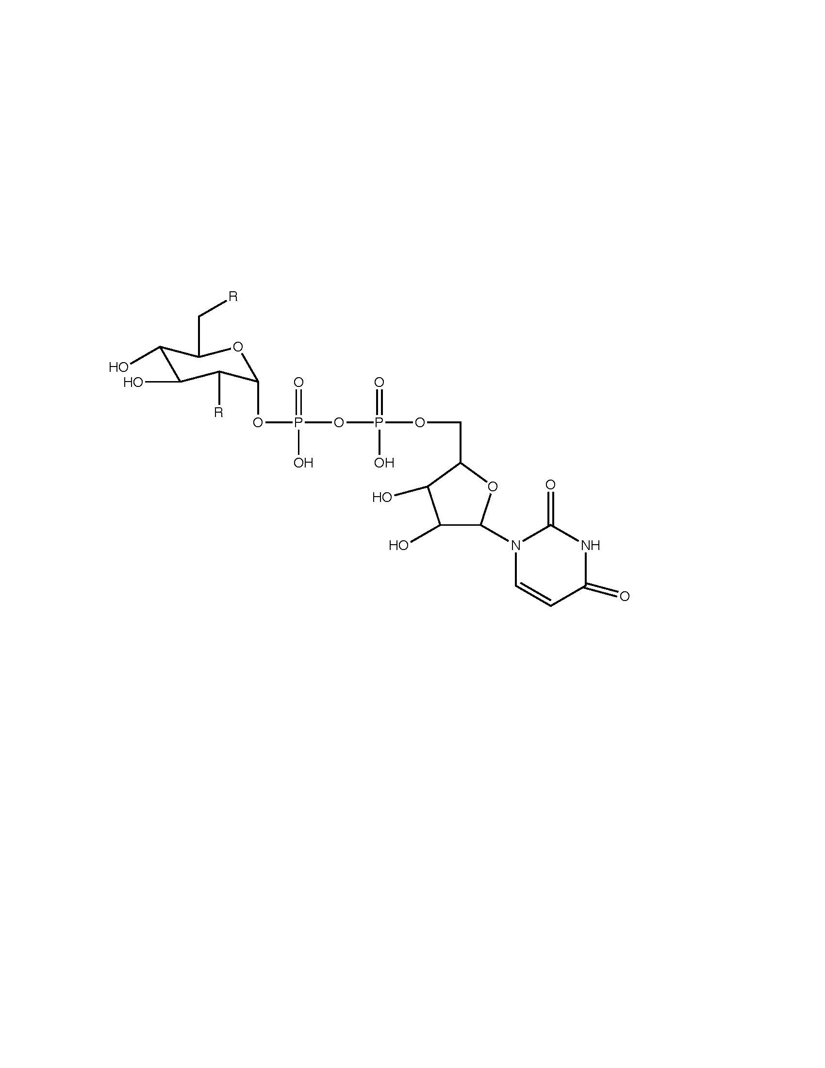 UDP-Glucose Structure