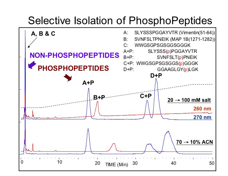PolyWAX LP™ ERLIC Separation Phospho-peptides