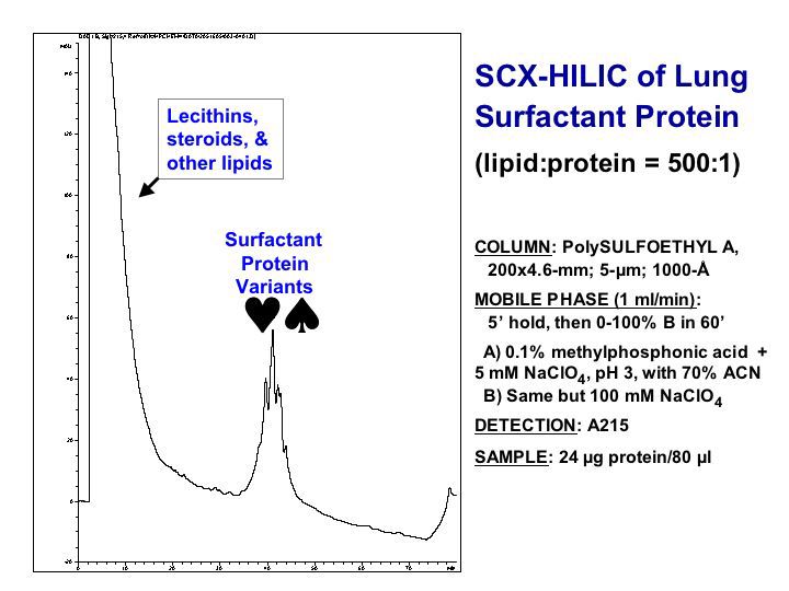 HILIC-SCX of Lung Surfactant Protein